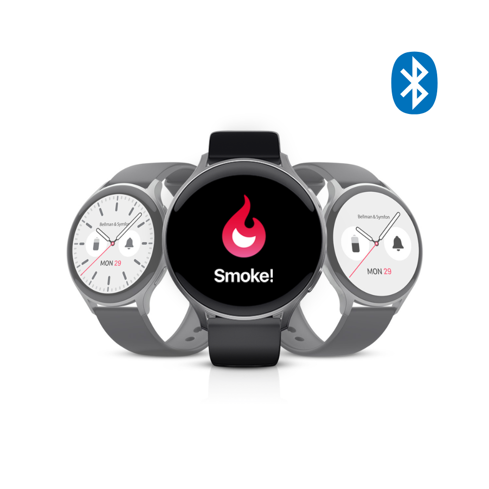 Smoke/Fire Alarm System with Alarm Clock Receiver, Bridge, and Watch Receiver