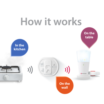 Carbon Monoxide Alarm Notification System with Flash Receiver and Bed Shaker