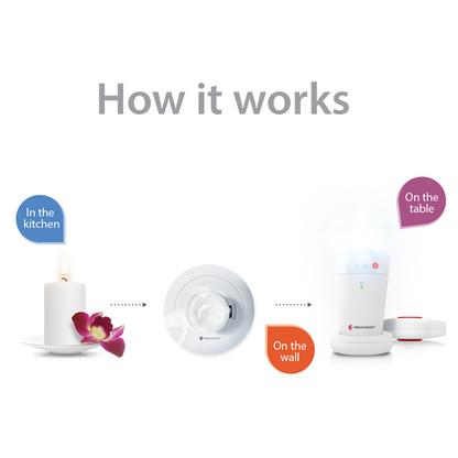 Smoke/Fire and Carbon Monoxide Alarm Notification System with Flash Receiver and Bed Shaker