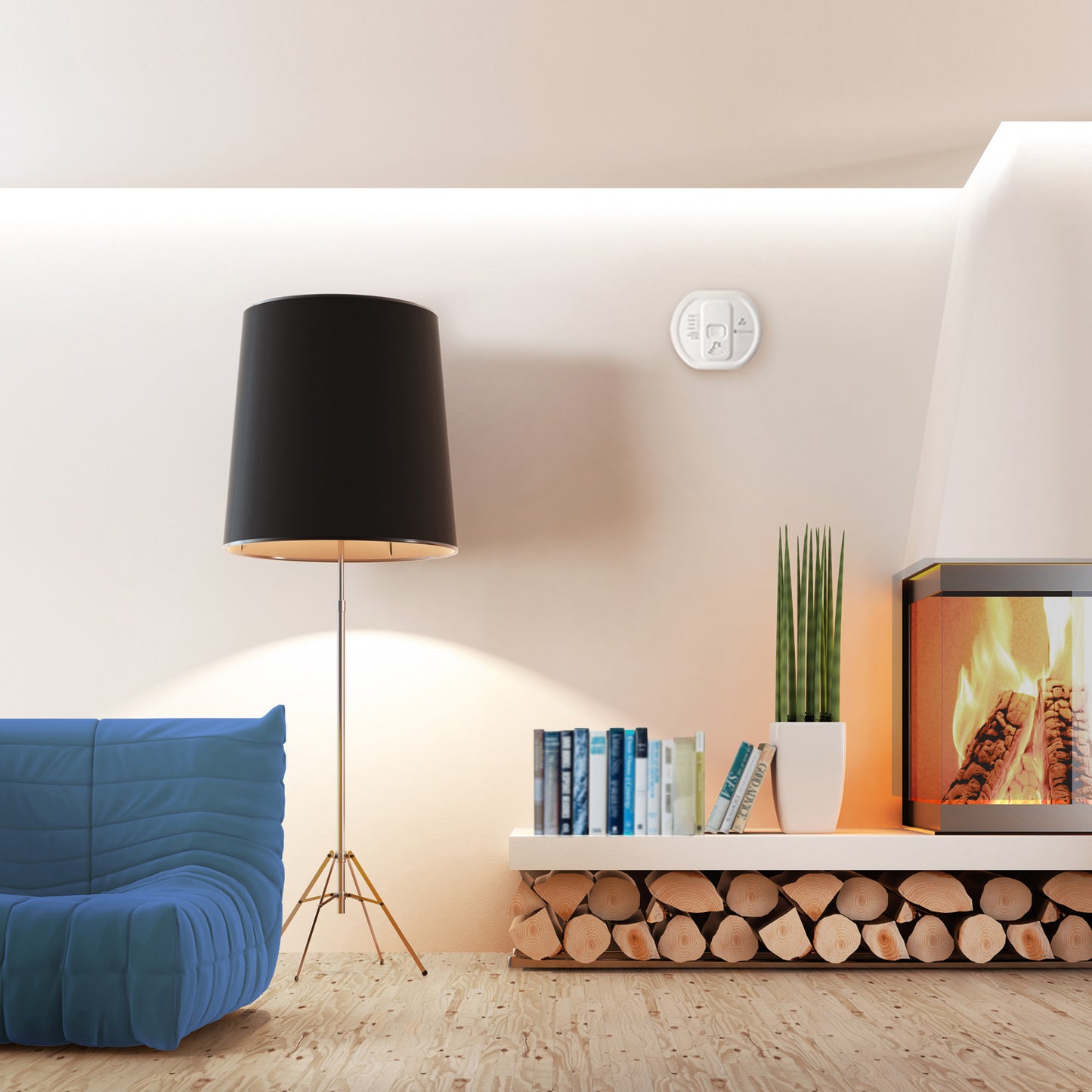 Carbon Monoxide Alarm Transmitter