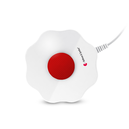 Phone System with Pager, Charger, and Bed Shaker