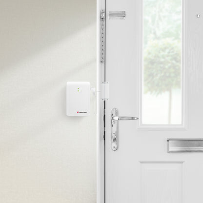 Magnetic Switch