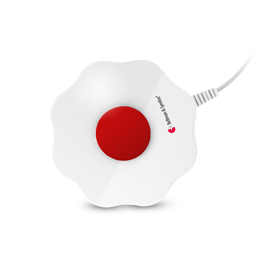 Smoke/Fire Alarm System with Flash Receiver and Bed Shaker