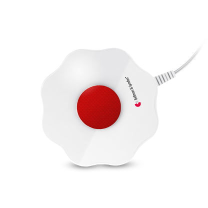 Smoke/Fire Alarm System with Flash Receiver and Bed Shaker