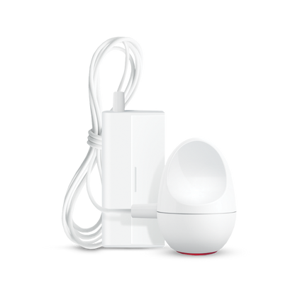 Phone System with Flash Receiver and Bed Shaker